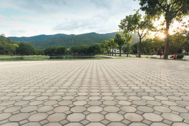 Best Commercial Driveway Pavers  in Rockford, IL